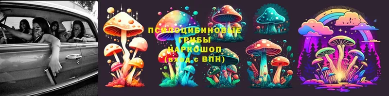 даркнет сайт  Ак-Довурак  Псилоцибиновые грибы Magic Shrooms 